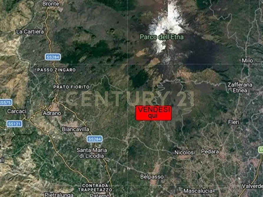 Immagine 4 di Casa indipendente in vendita  in Via Bosco a Ragalna