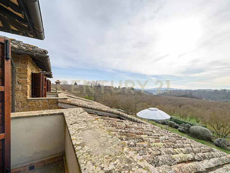 Immagine 68 di Villa in vendita  in Località Campo Rotondo snc a Capranica