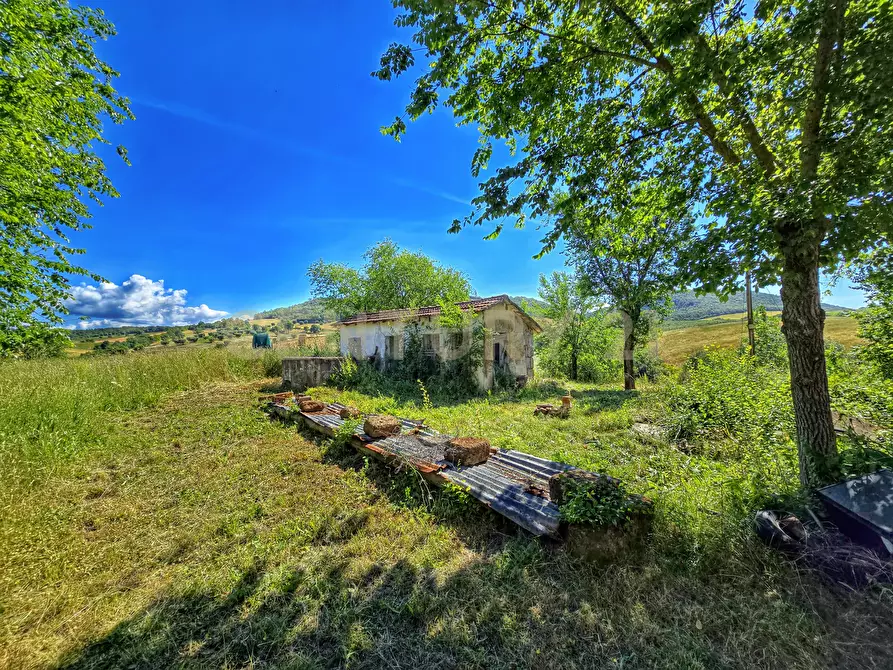 Immagine 12 di Rustico / casale in vendita  in Strada Provinciale Aquilaia a Scansano