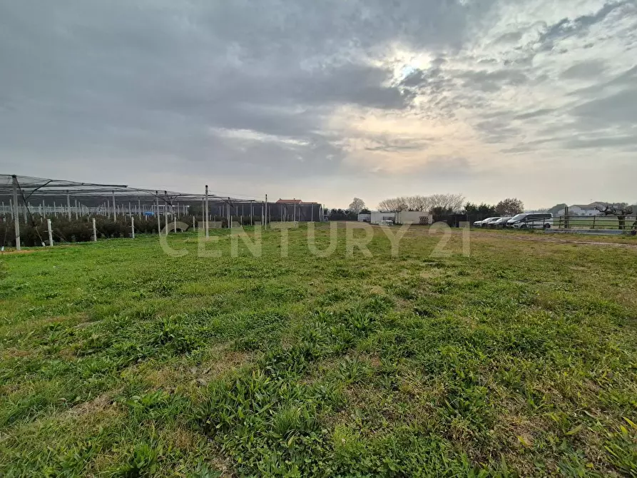 Immagine 14 di Palazzo in vendita  in Via Sasse snc a Verona