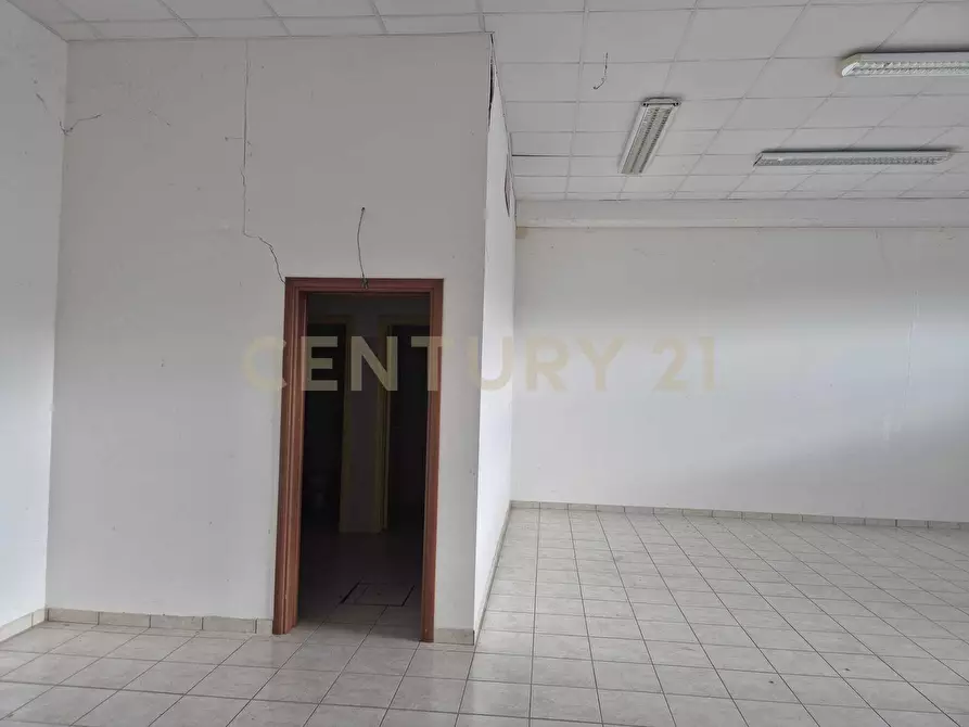 Immagine 17 di Locale commerciale in vendita  in Cerro Sughero a Campagnatico