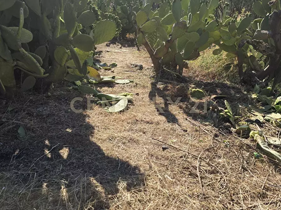 Immagine 32 di Villa in vendita  in Via Panebianco 20 a Castiglione Di Sicilia