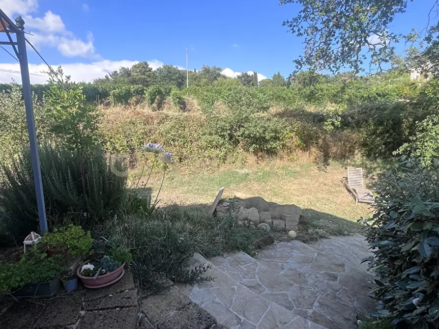 Immagine 4 di Azienda agricola in vendita  in Strada dei Sassi Bianchi a Manciano