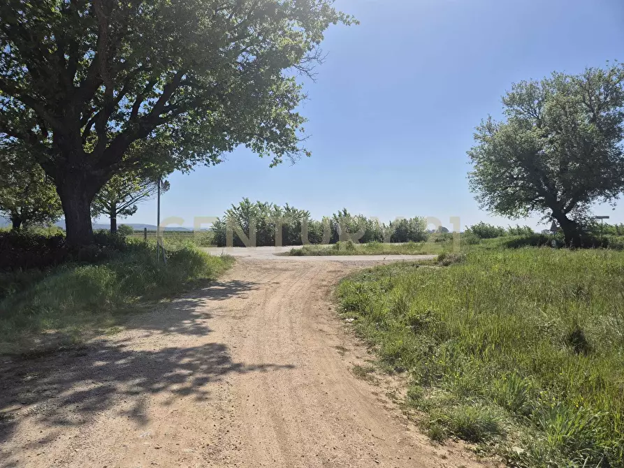 Immagine 9 di Terreno agricolo in vendita  in loc. Badia Vecchia a Castiglione Della Pescaia