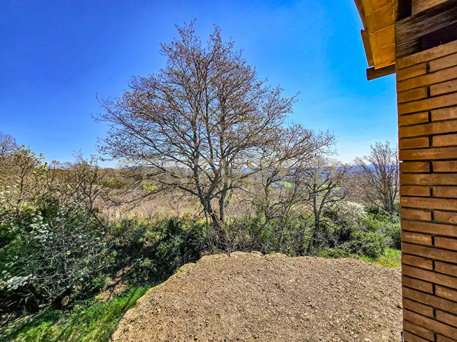 Immagine 5 di Rustico / casale in vendita  in poggio murella a Manciano