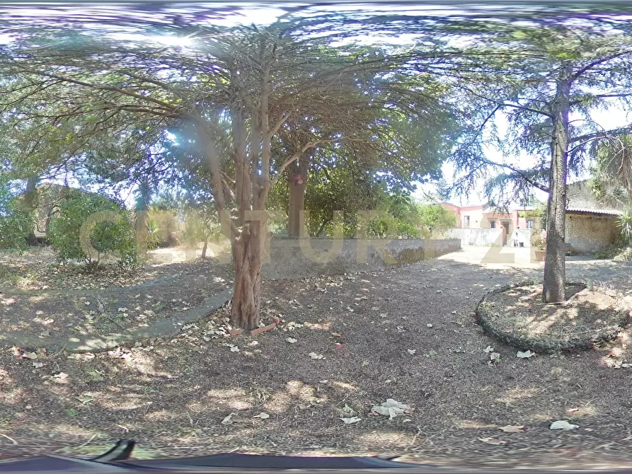 Immagine 64 di Villa in vendita  in Piazza F. M. Scuderi 7 a Viagrande