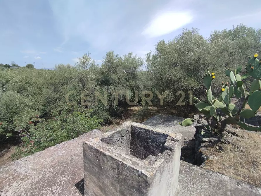 Immagine 10 di Terreno agricolo in vendita  in CONTRADA MANGIONE snc a Catania