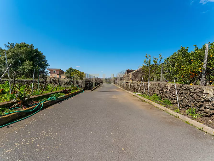 Immagine 7 di Villa in vendita  in Via Ramondetta 47 a Aci Sant'antonio