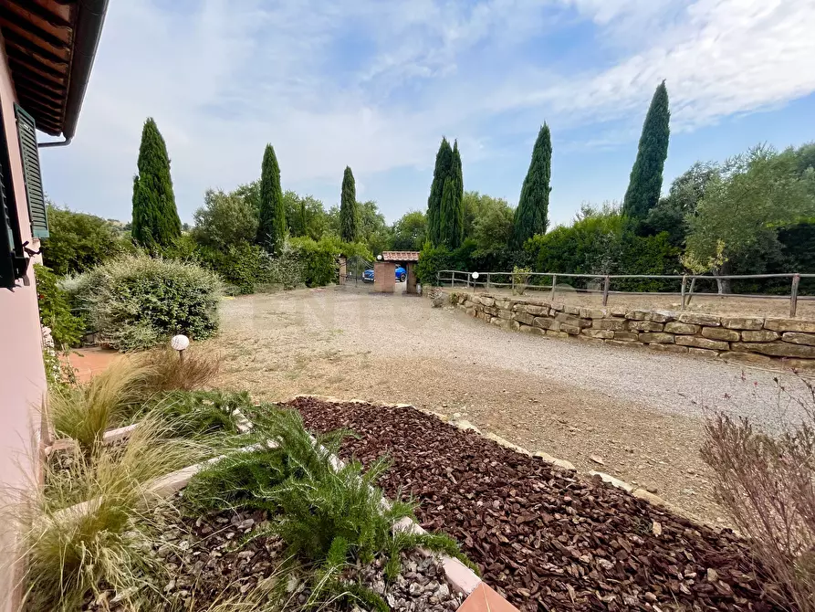 Immagine 22 di Azienda agricola in vendita  in località colle di lupo a Magliano In Toscana