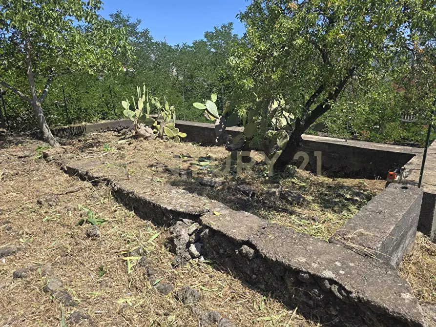 Immagine 28 di Villa in vendita  in Via Panebianco 20 a Castiglione Di Sicilia