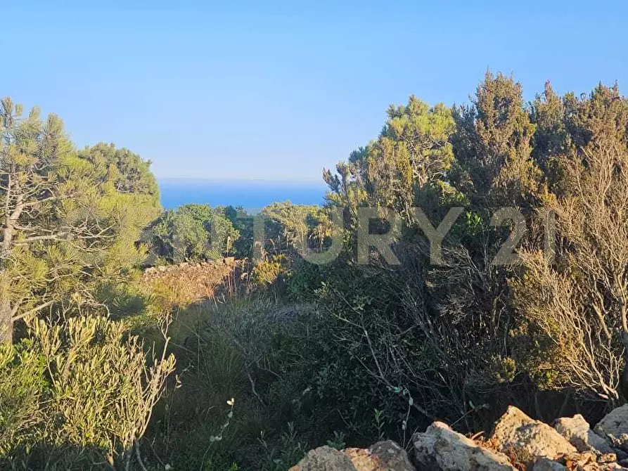 Immagine 13 di Casa indipendente in vendita  in Vicolo del Tufo 12 a Pantelleria
