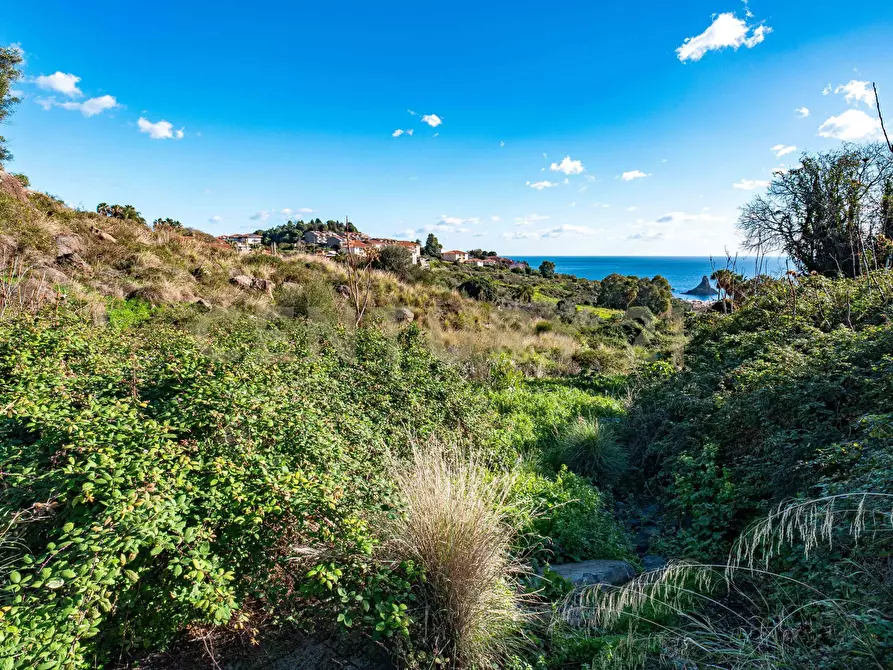 Immagine 15 di Terreno agricolo in vendita  in Via Vampolieri a Aci Castello