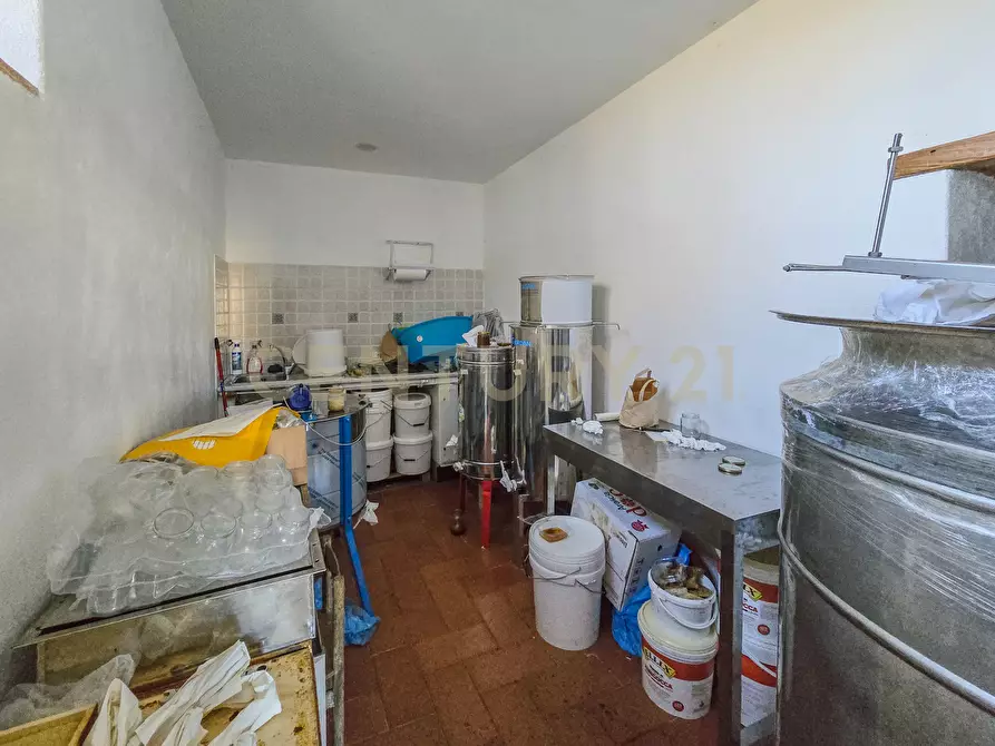 Immagine 26 di Rustico / casale in vendita  in monte labbro a Arcidosso