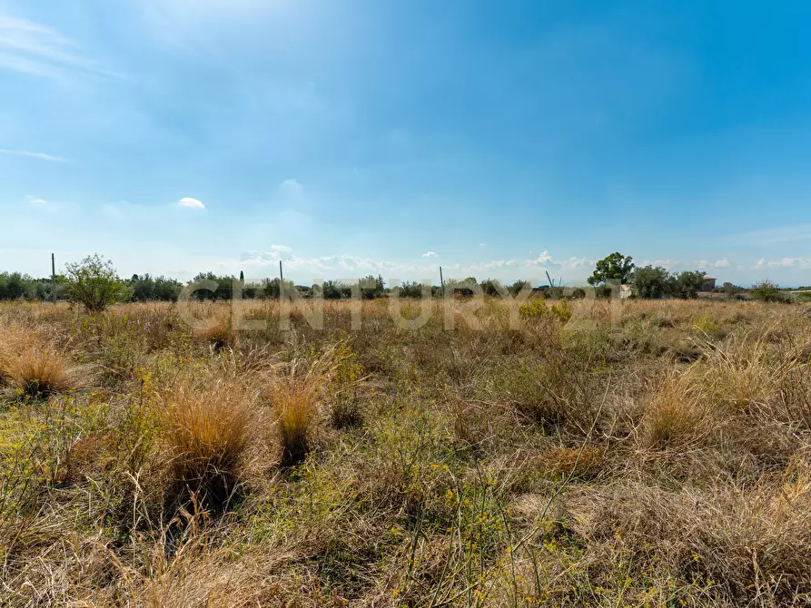 Immagine 7 di Terreno agricolo in vendita  in Via Margarone 5 a Motta Sant'anastasia