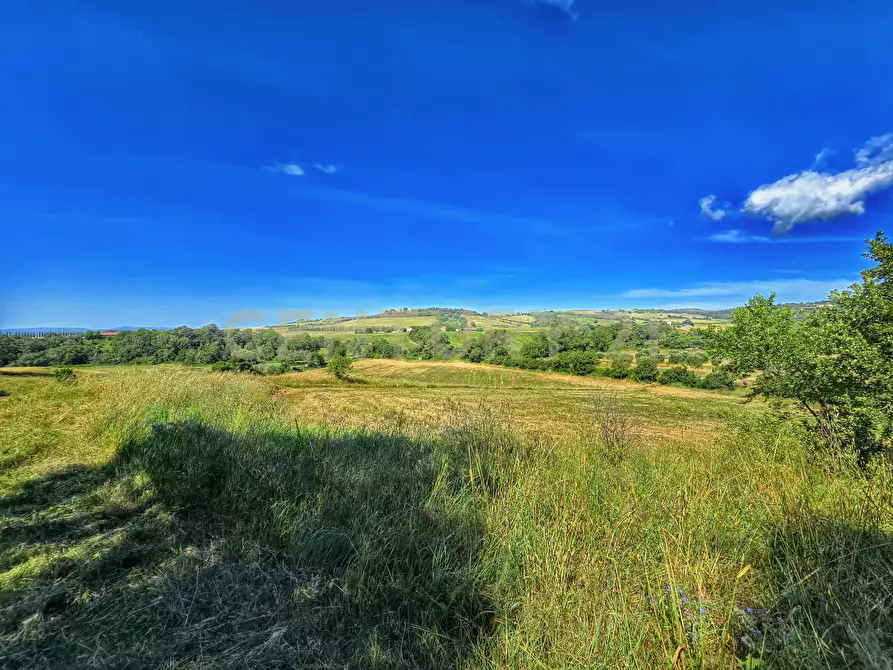 Immagine 30 di Rustico / casale in vendita  in Strada Provinciale Aquilaia a Scansano