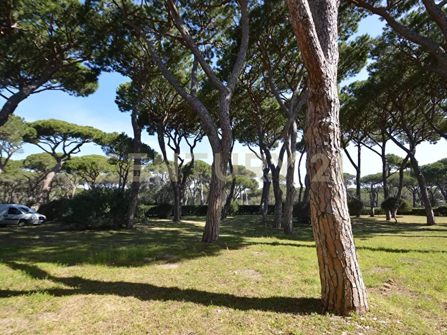 Immagine 9 di Quadrilocale in vendita  a Castiglione Della Pescaia