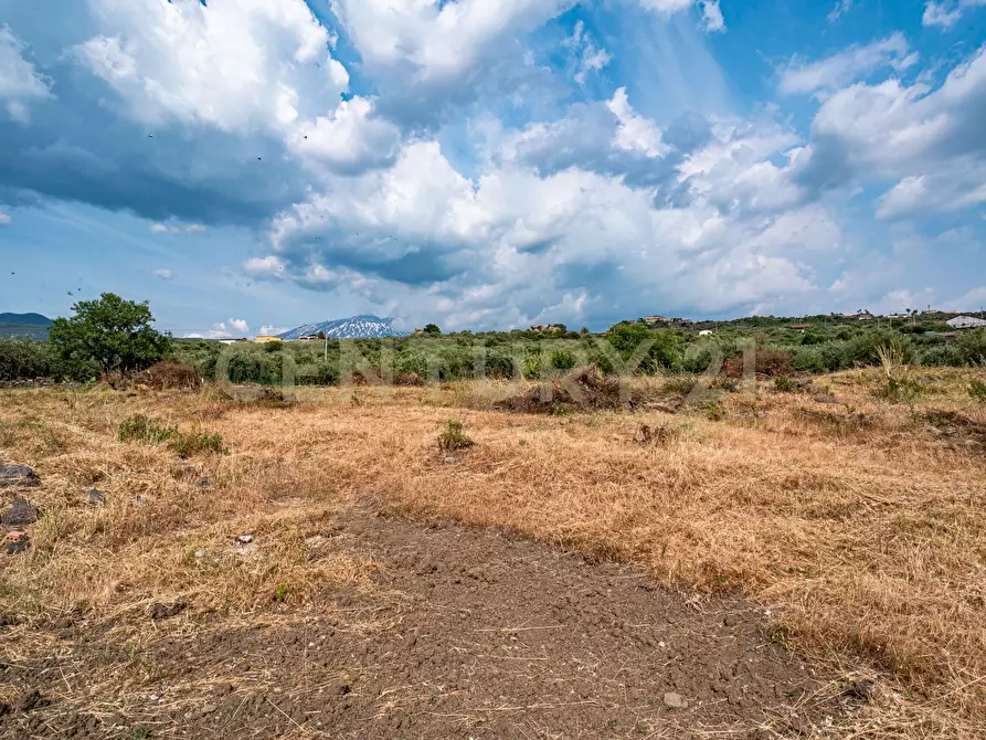 Immagine 41 di Terreno agricolo in vendita  in Via San Leo a Adrano