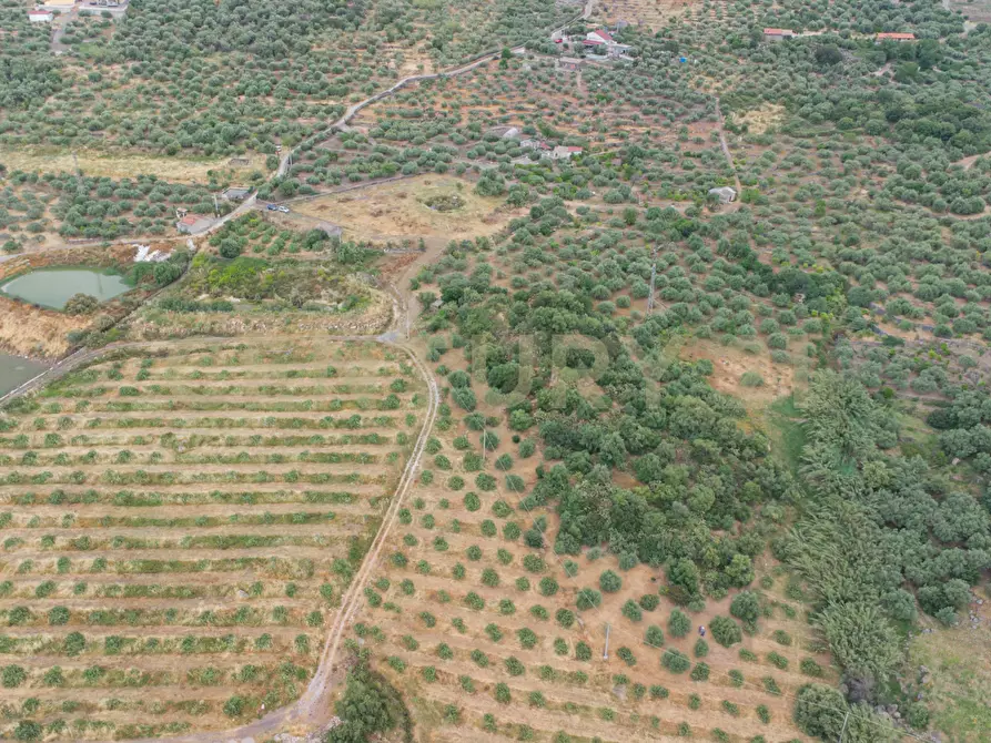 Immagine 34 di Terreno agricolo in vendita  in Via San Leo a Adrano