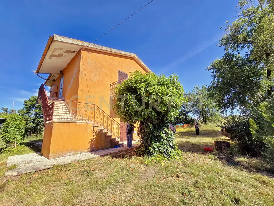 Immagine 34 di Rustico / casale in vendita  in Strada Provinciale Aquilaia a Scansano