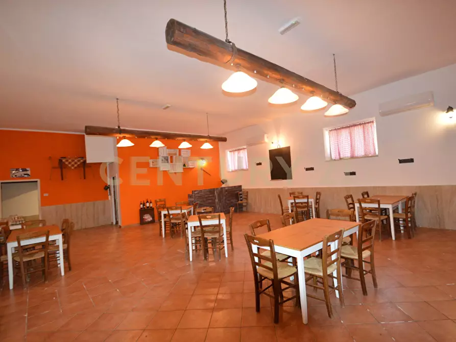 Immagine 10 di Attività artigianale in vendita  a Campagnatico