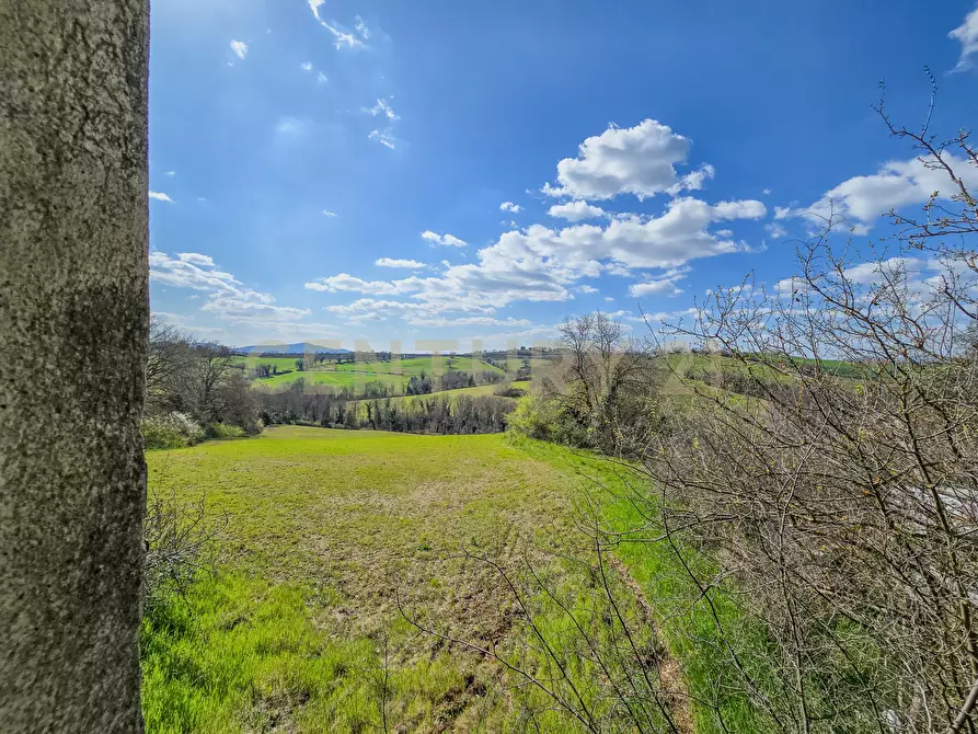 Immagine 10 di Rustico / casale in vendita  in Vial podere nuovo snc a Civitella Paganico