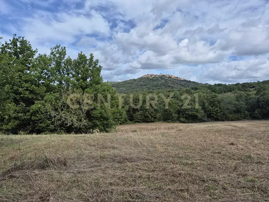 Immagine 1 di Terreno agricolo in vendita  in località la vena snc a Civitella Paganico