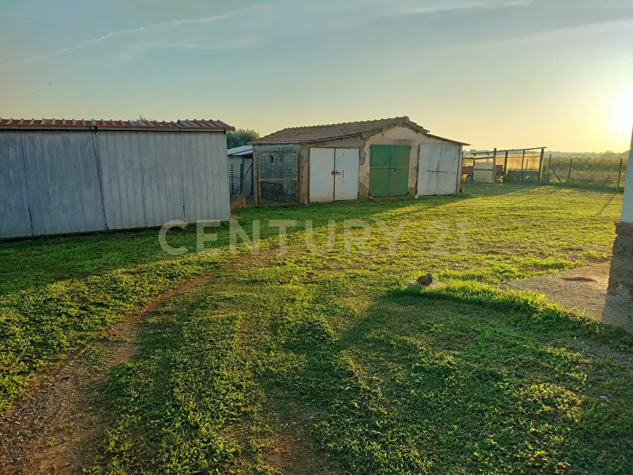 Immagine 14 di Rustico / casale in vendita  in Strada Pedemontana a Capalbio
