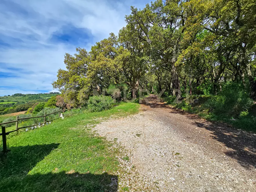Immagine 19 di Rustico / casale in vendita  in podere le rocchette snc a Roccastrada