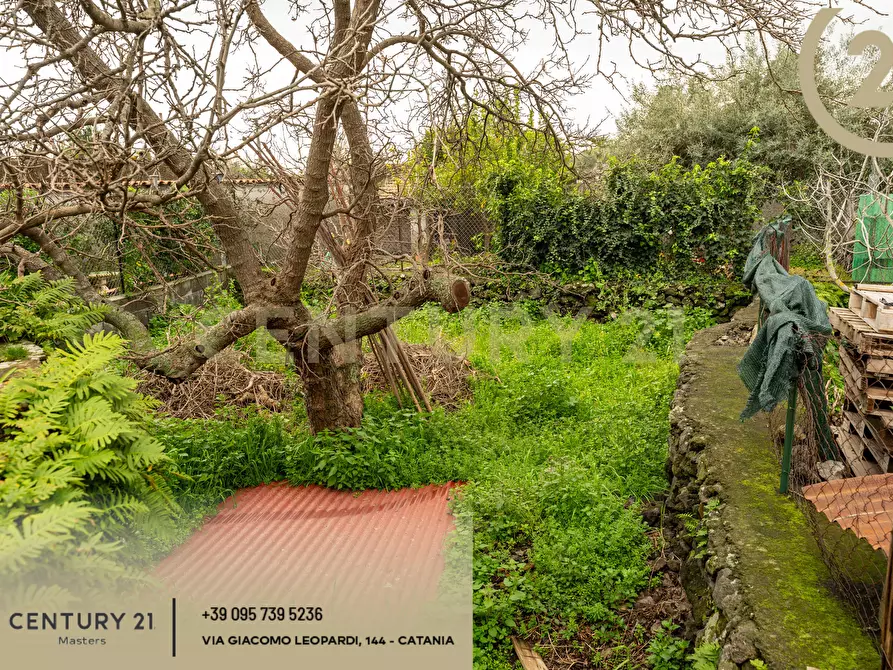 Immagine 9 di Rustico / casale in vendita  in Via Alessandro Manzoni 152 a Viagrande