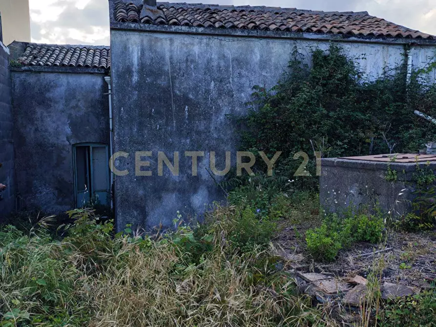 Immagine 36 di Casa indipendente in vendita  in Via Armando Diaz 262 a Zafferana Etnea