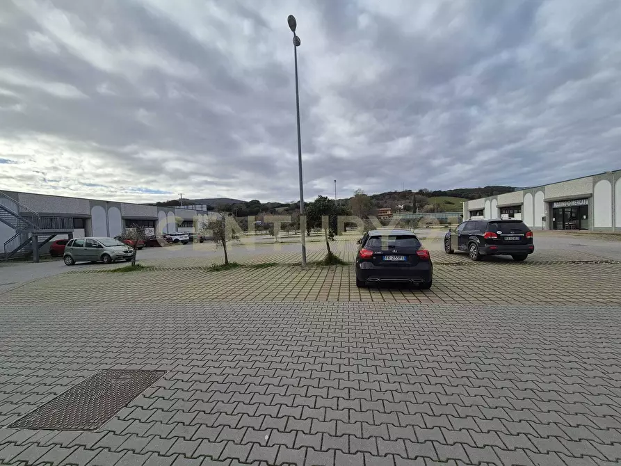 Immagine 11 di Locale commerciale in vendita  in Cerro Sughero a Campagnatico