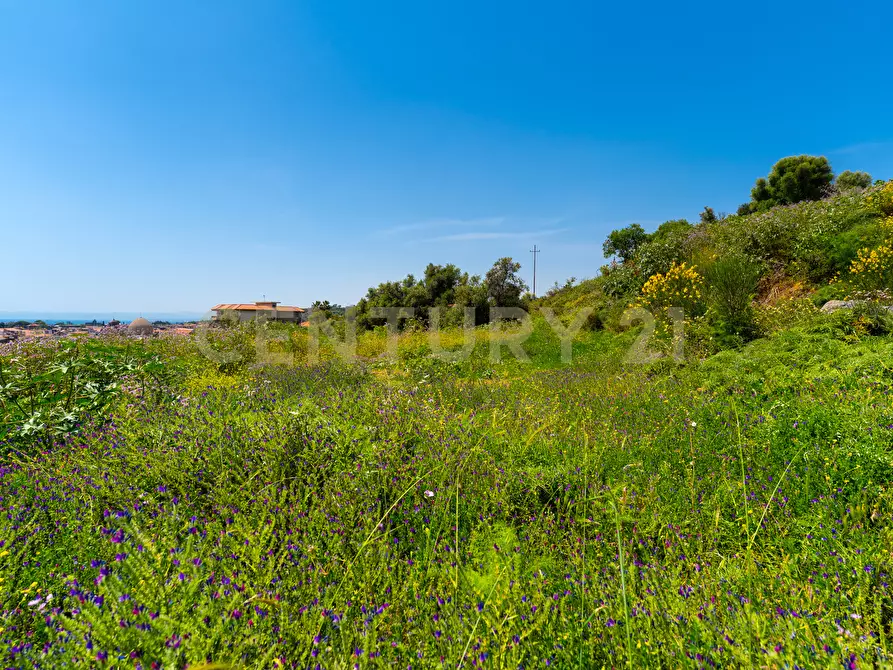 Immagine 14 di Terreno agricolo in vendita  in Via Vampolieri 14 a Aci Castello