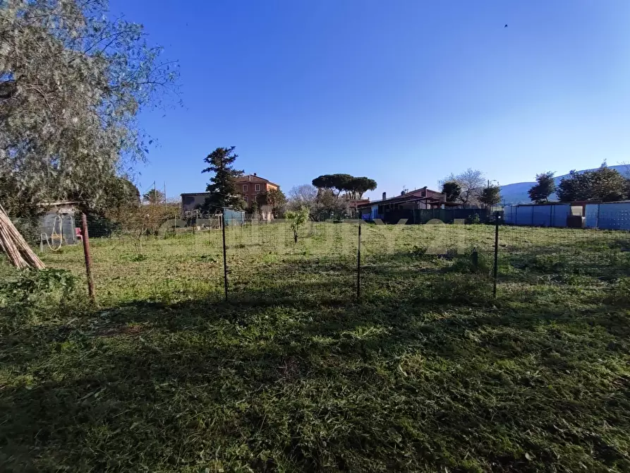 Immagine 16 di Casa indipendente in vendita  in Strada Provinciale Alberese 83 a Grosseto