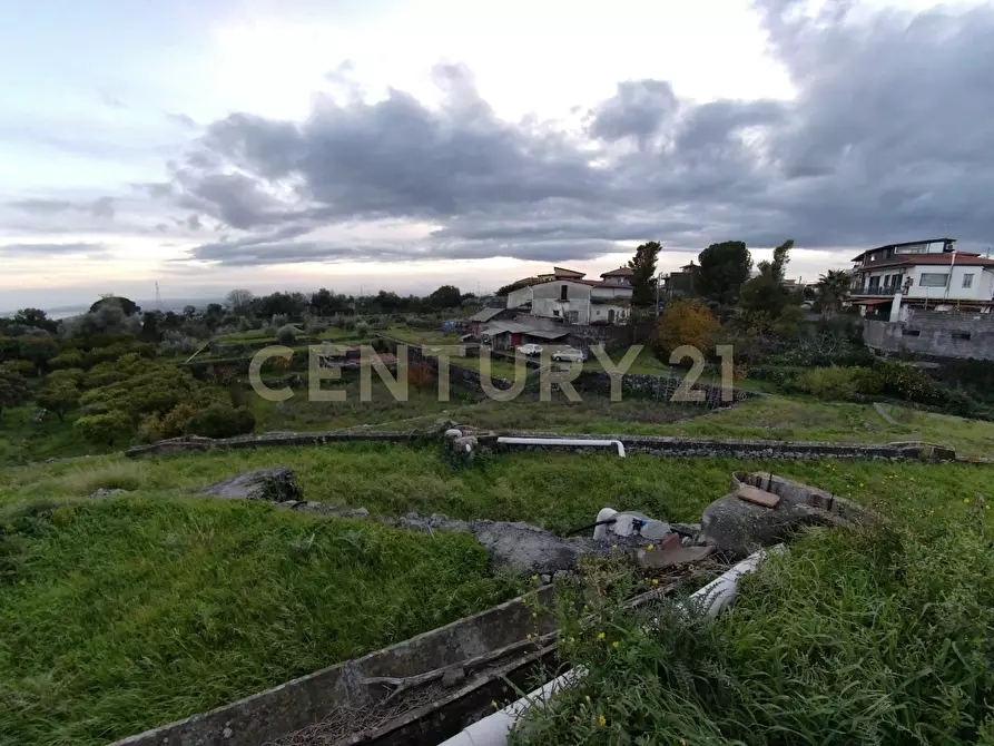 Immagine 3 di Terreno agricolo in affitto  in Via Gravina Girolamo a Catania