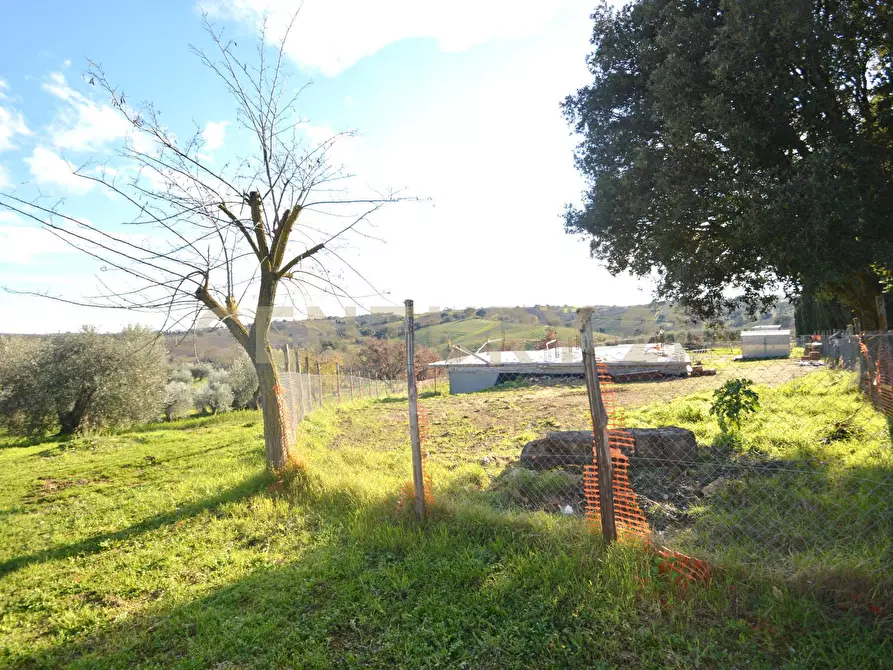 Immagine 25 di Villa in vendita  a Magliano In Toscana