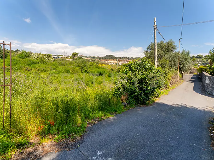 Immagine 26 di Villa in vendita  in Via Nino Martoglio S.N. a Aci Castello