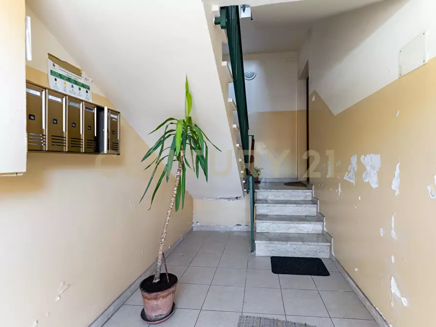 Immagine 24 di Trilocale in vendita  in Via Vittorio Emanuele Orlando 24 a Tremestieri Etneo