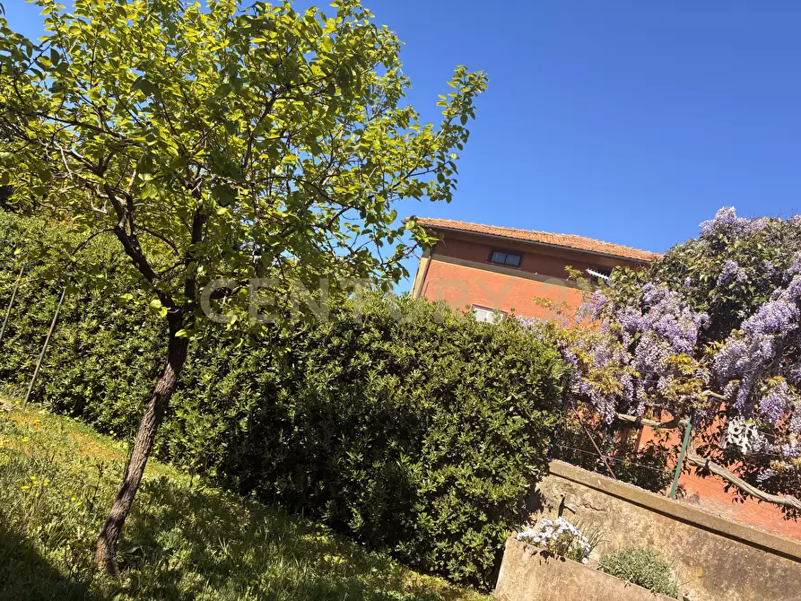 Immagine 14 di Casa bifamiliare in vendita  in Strada Statale 1 42 a Orbetello