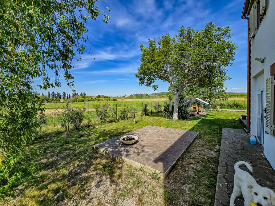 Immagine 6 di Rustico / casale in vendita  in Strada Comunale di Montalcino 65 a Castiglione Della Pescaia