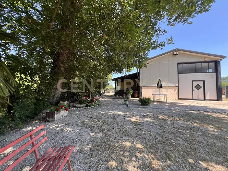 Immagine 2 di Villa in vendita  in Contrada Villa Cassetti a Montorio Al Vomano