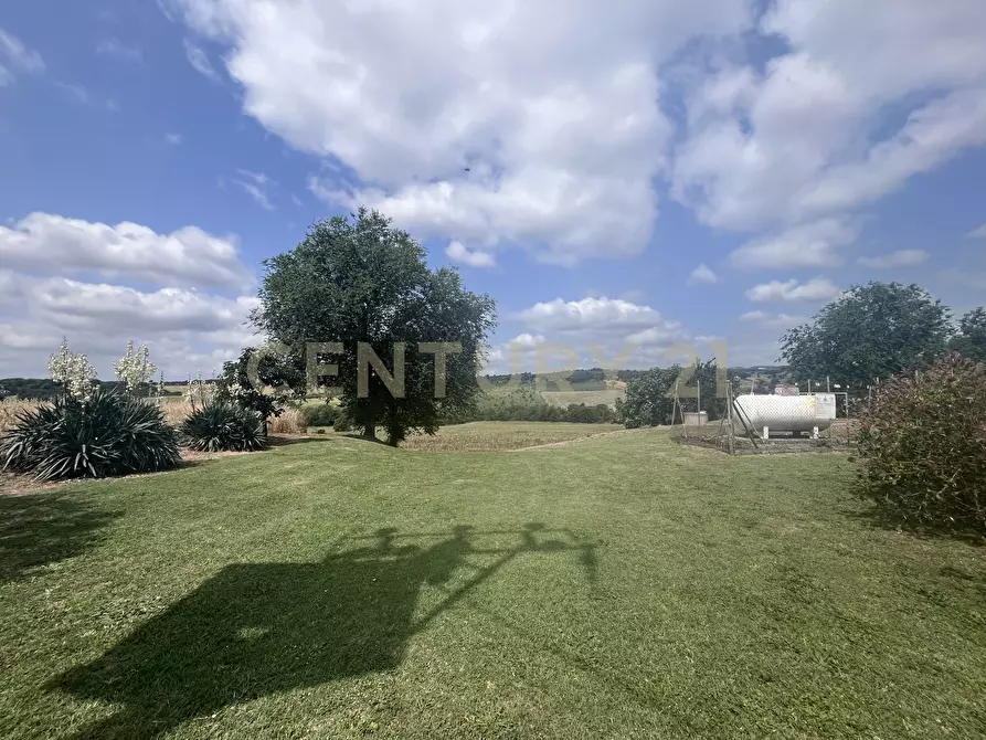 Immagine 15 di Rustico / casale in vendita  in Via Case Sparse a Scansano