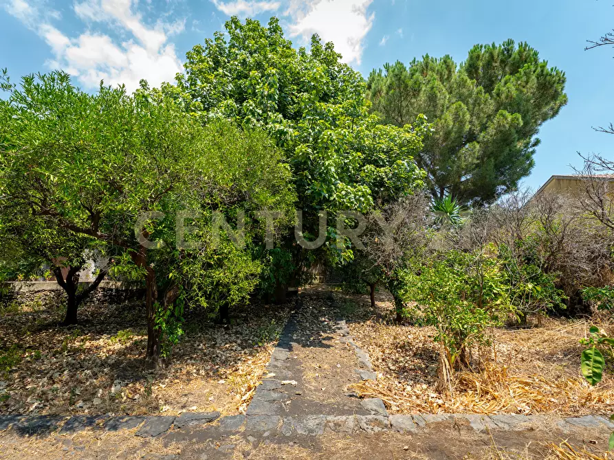 Immagine 4 di Villa in vendita  in Piazza F. M. Scuderi 7 a Viagrande