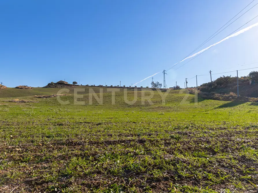 Immagine 6 di Terreno agricolo in vendita  in Strada Provinciale 23b a Centuripe