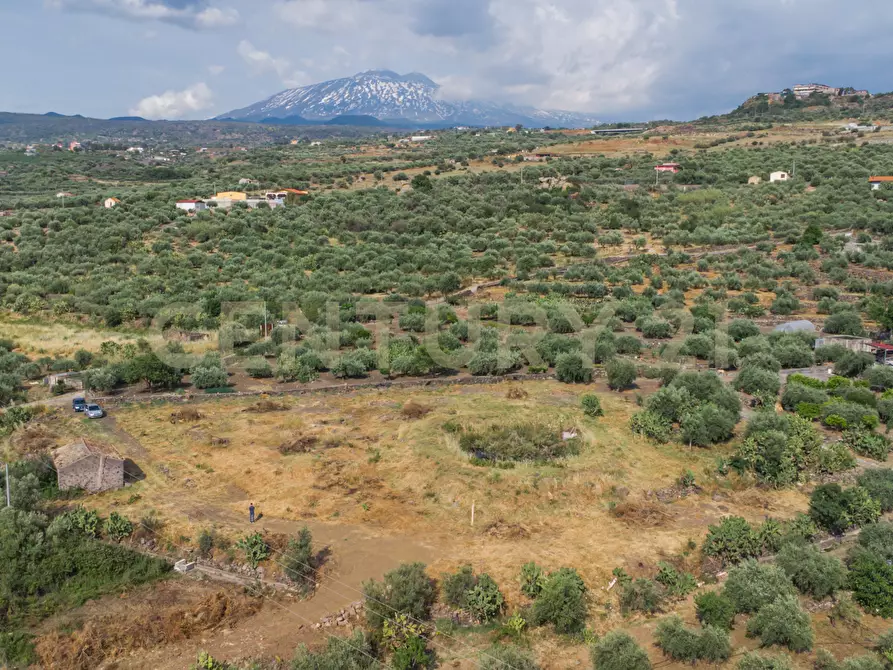 Immagine 7 di Terreno agricolo in vendita  in Via San Leo a Adrano