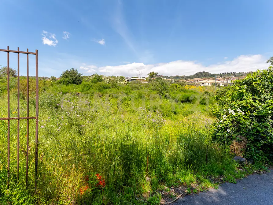 Immagine 22 di Villa in vendita  in Via Nino Martoglio S.N. a Aci Castello