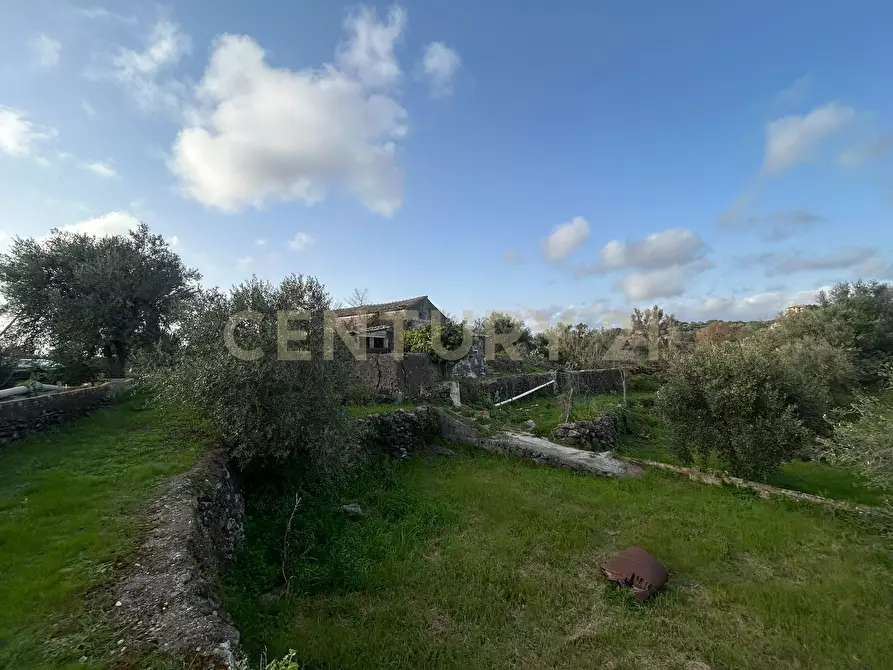 Immagine 15 di Terreno agricolo in vendita  in Via Giovanni Verga 1/A a Misterbianco