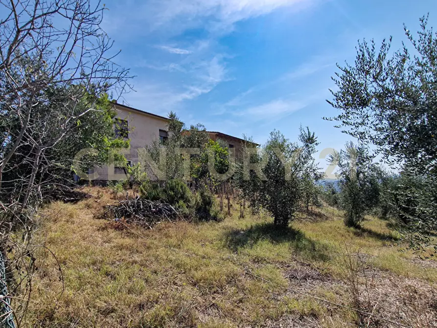 Immagine 7 di Rustico / casale in vendita  in Strada Provinciale Voltina 12 a Cinigiano