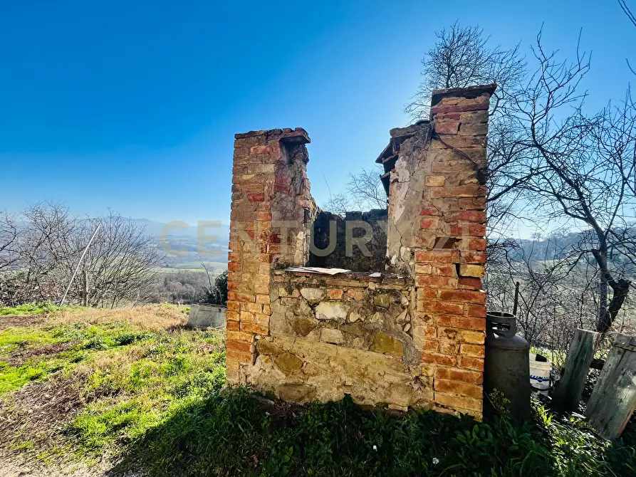 Immagine 12 di Casa bifamiliare in vendita  in località podere pelacane snc a Cinigiano