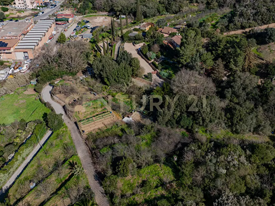Immagine 3 di Rustico / casale in vendita  in Via del Campone 124 a Monte Argentario