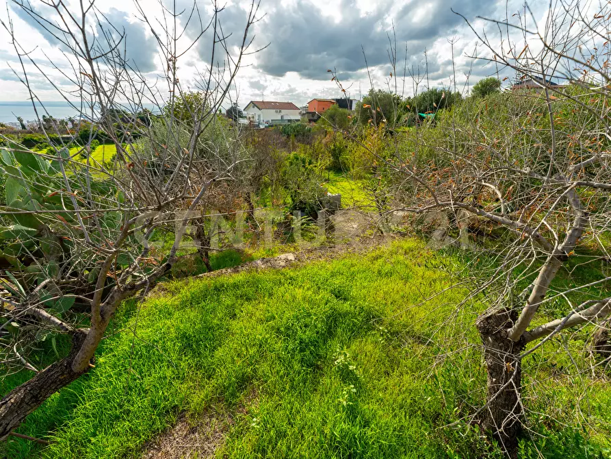 Immagine 29 di Terreno agricolo in vendita  in Via Cerza 35 a San Gregorio Di Catania